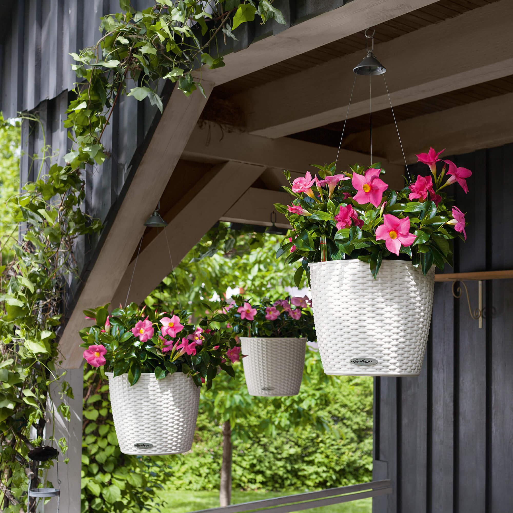 le_nido-cottage_product_addi_04